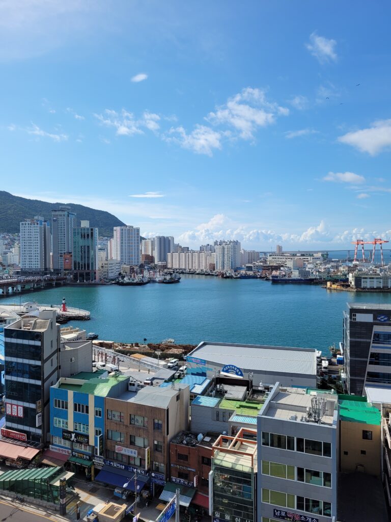 busan vue