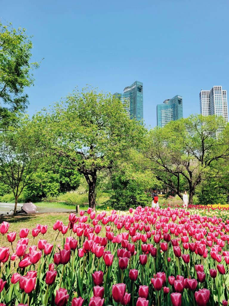 parc Seoul Forest