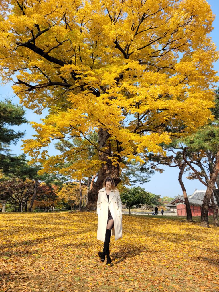 automne palais changyeonggung