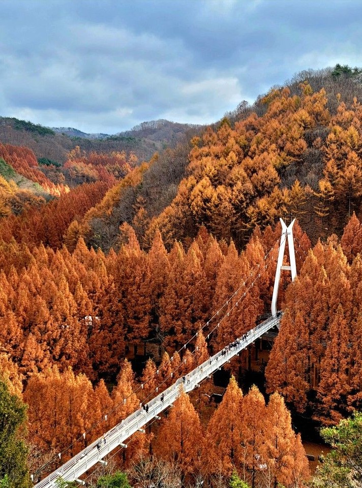 angtaesan Recreational Forest (장태산자연휴양림)