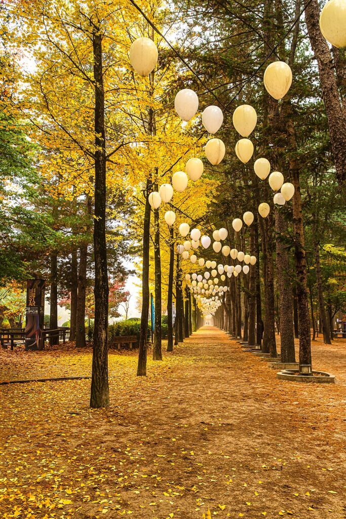 île de Nami automne