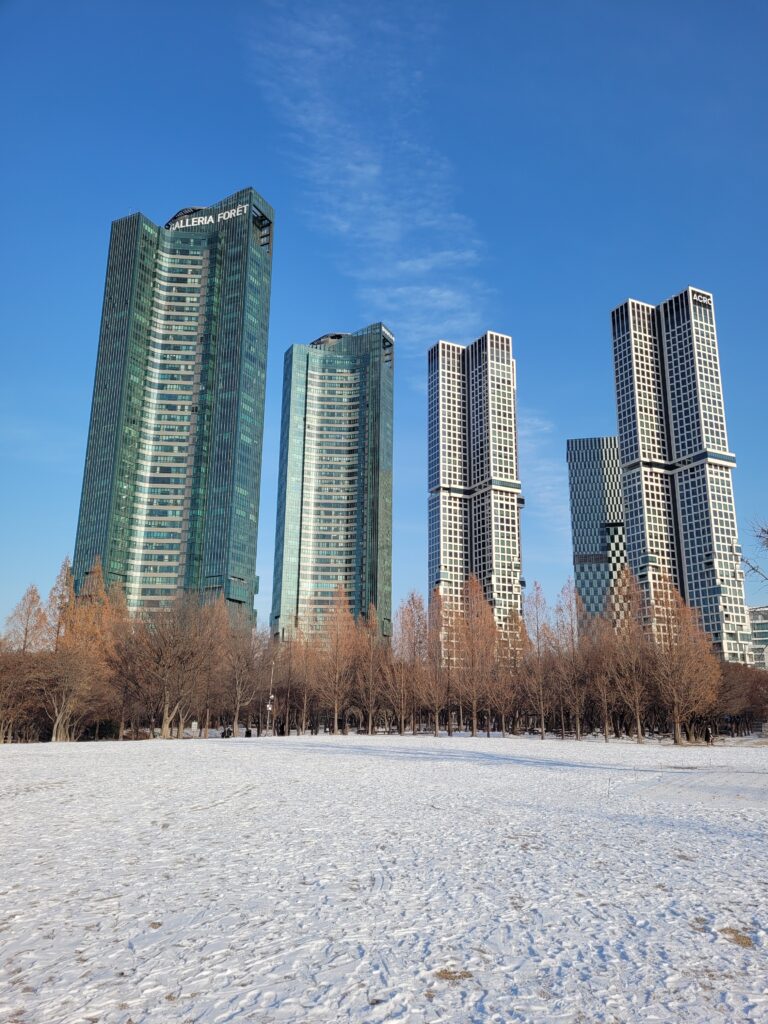 Seoul Forest neige hiver