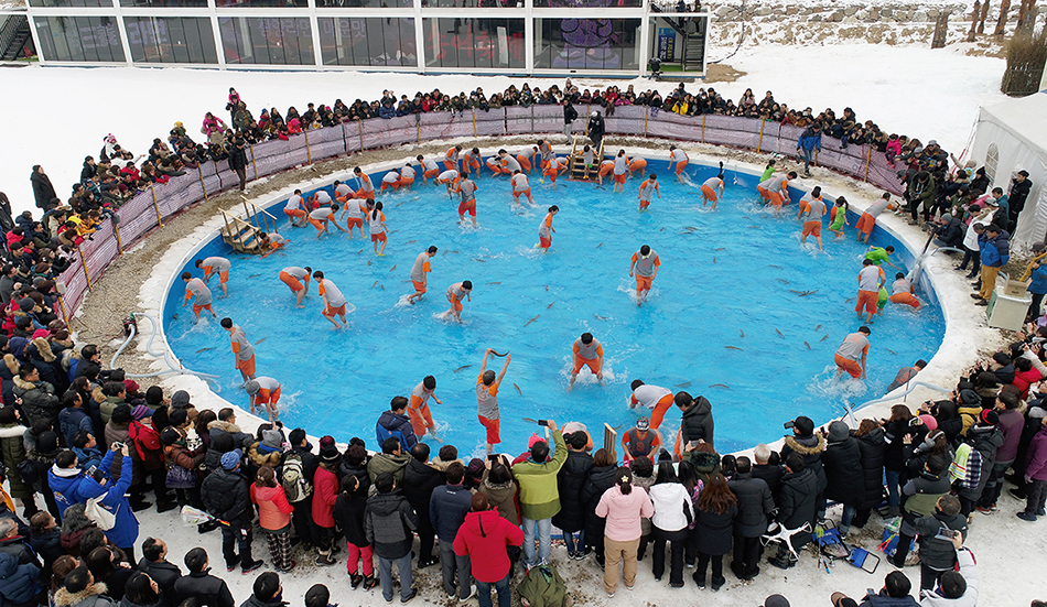 Festival de la truite de Pyeongchang (평창송어축제)