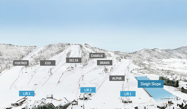 Alpensia Ski Resort (알펜시아리조트 스키장)